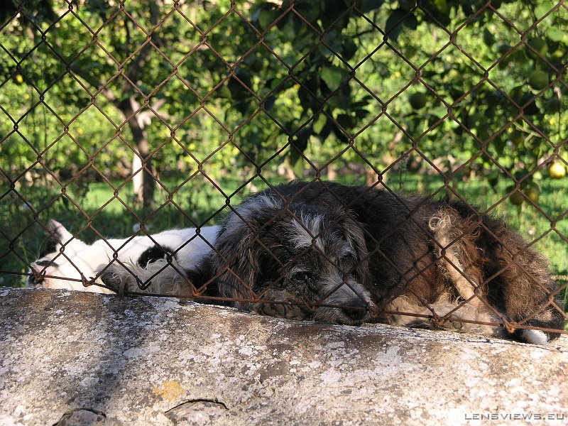 2006_11_23 15_04_10 OLYMPUS DIGITAL CAMERA         